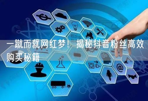 一蹴而就网红梦！揭秘抖音粉丝高效购买秘籍