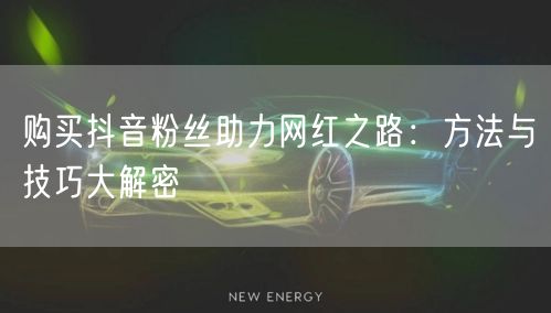 购买抖音粉丝助力网红之路：方法与技巧大解密