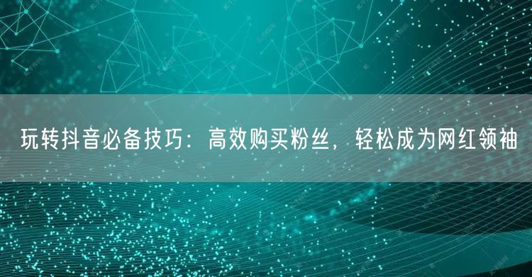 玩转抖音必备技巧：高效购买粉丝，轻松成为网红领袖