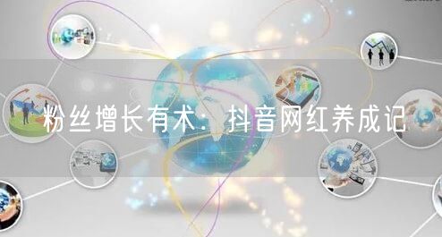 粉丝增长有术：抖音网红养成记
