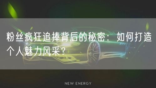 粉丝疯狂追捧背后的秘密：如何打造个人魅力风采？