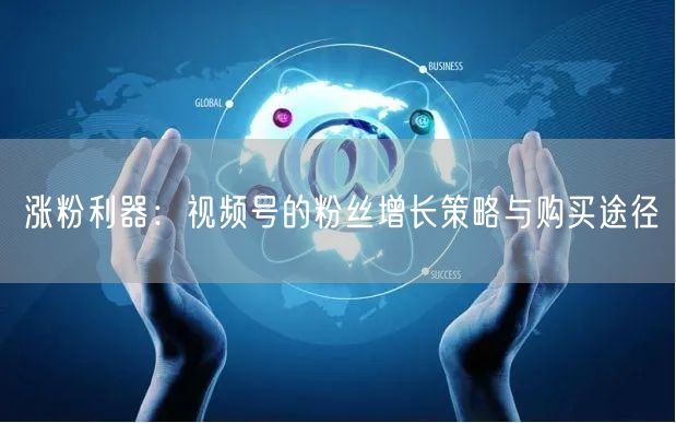 涨粉利器：视频号的粉丝增长策略与购买途径