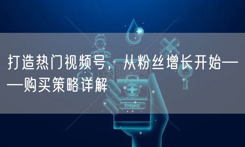 打造热门视频号，从粉丝增长开始——购买策略详解