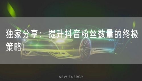 独家分享：提升抖音粉丝数量的终极策略！