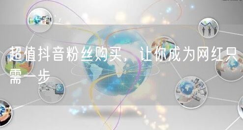 超值抖音粉丝购买，让你成为网红只需一步