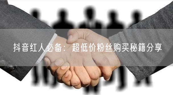 抖音红人必备：超低价粉丝购买秘籍分享