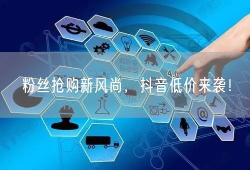 粉丝抢购新风尚，抖音低价来袭！