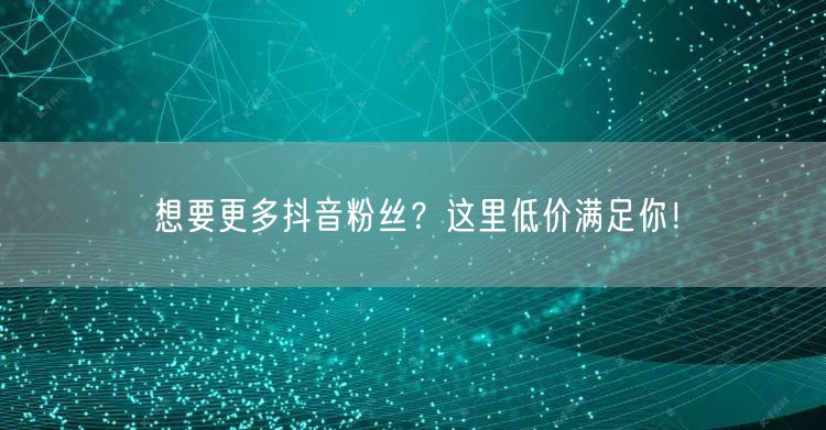 想要更多抖音粉丝？这里低价满足你！