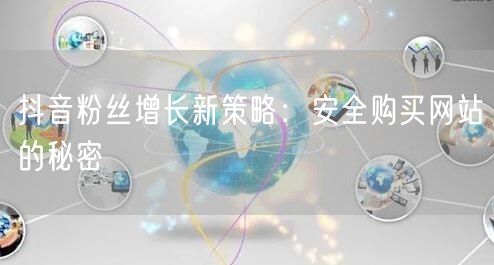抖音粉丝增长新策略：安全购买网站的秘密