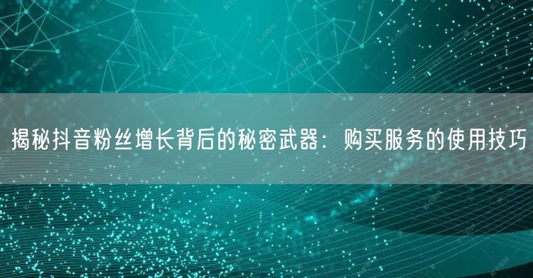 揭秘抖音粉丝增长背后的秘密武器：购买服务的使用技巧