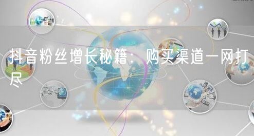 抖音粉丝增长秘籍：购买渠道一网打尽