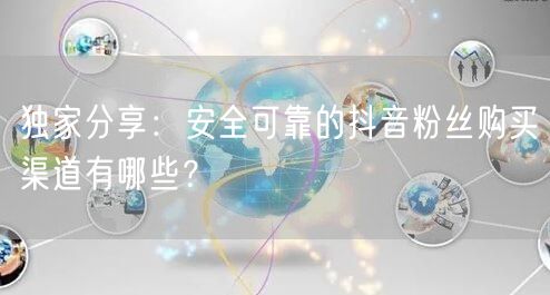 独家分享：安全可靠的抖音粉丝购买渠道有哪些？