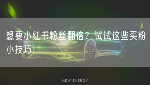 想要小红书粉丝翻倍？试试这些买粉小技巧！