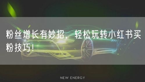 粉丝增长有妙招，轻松玩转小红书买粉技巧！