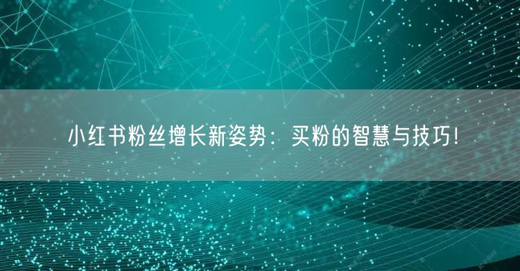 小红书粉丝增长新姿势：买粉的智慧与技巧！
