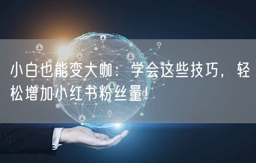 小白也能变大咖：学会这些技巧，轻松增加小红书粉丝量！