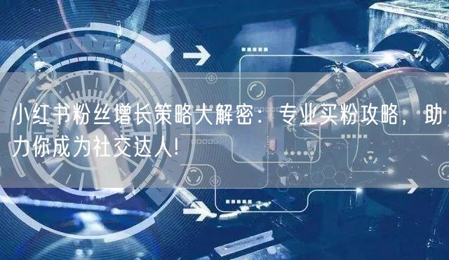 小红书粉丝增长策略大解密：专业买粉攻略，助力你成为社交达人!