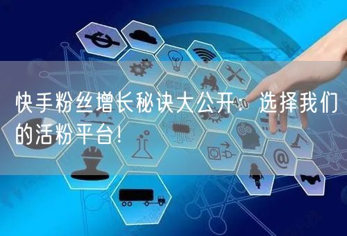 快手粉丝增长秘诀大公开：选择我们的活粉平台！
