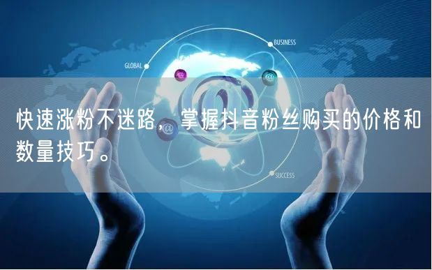 快速涨粉不迷路，掌握抖音粉丝购买的价格和数量技巧。