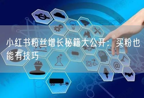 小红书粉丝增长秘籍大公开：买粉也能有技巧