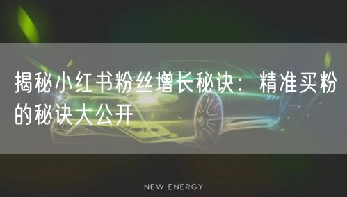 揭秘小红书粉丝增长秘诀：精准买粉的秘诀大公开