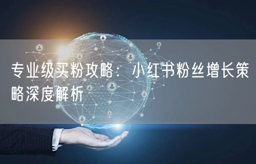 专业级买粉攻略：小红书粉丝增长策略深度解析