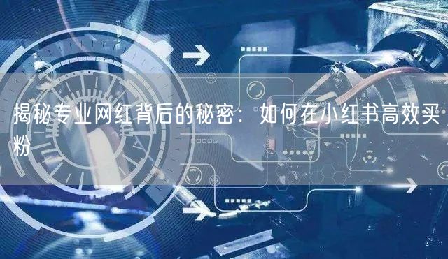 揭秘专业网红背后的秘密：如何在小红书高效买粉