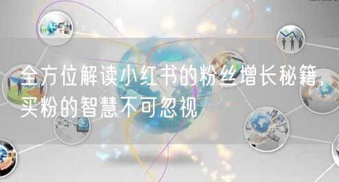 全方位解读小红书的粉丝增长秘籍，买粉的智慧不可忽视
