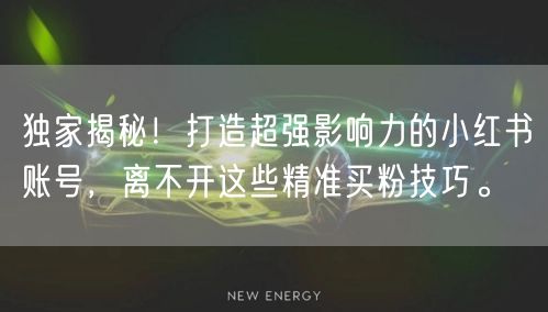 独家揭秘！打造超强影响力的小红书账号，离不开这些精准买粉技巧。