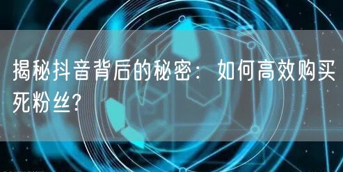揭秘抖音背后的秘密:如何高效购买死粉丝?