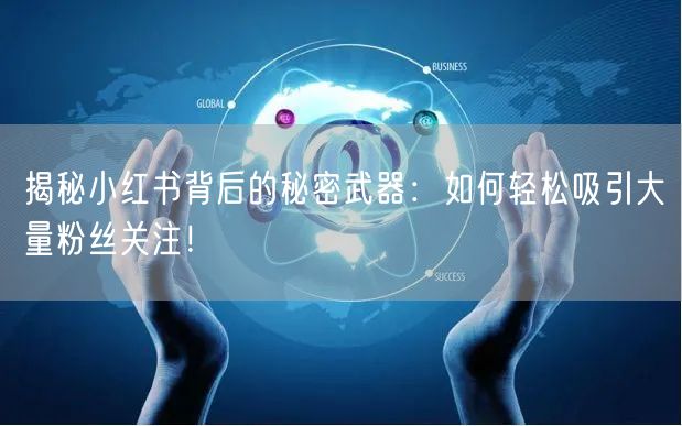 揭秘小红书背后的秘密武器：如何轻松吸引大量粉丝关注！