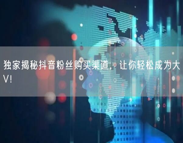 独家揭秘抖音粉丝购买渠道,让你轻松成为大V!