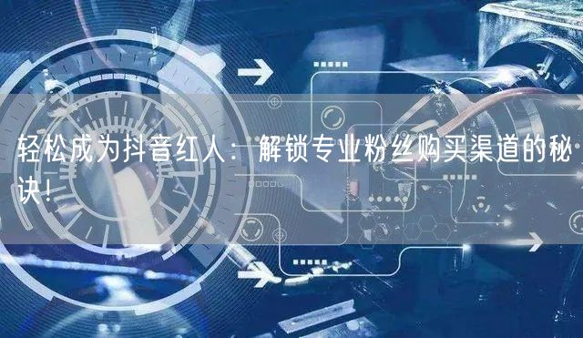 轻松成为抖音红人：解锁专业粉丝购买渠道的秘诀！