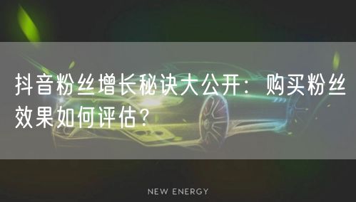 抖音粉丝增长秘诀大公开:购买粉丝效果如何评估?