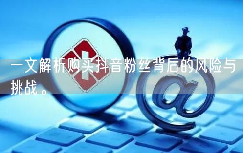一文解析购买抖音粉丝背后的风险与挑战。