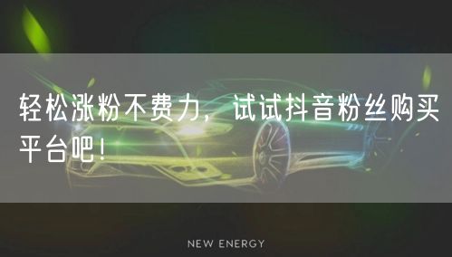 轻松涨粉不费力，试试抖音粉丝购买平台吧！