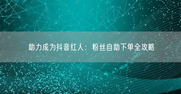 助力成为抖音红人：粉丝自助下单全攻略