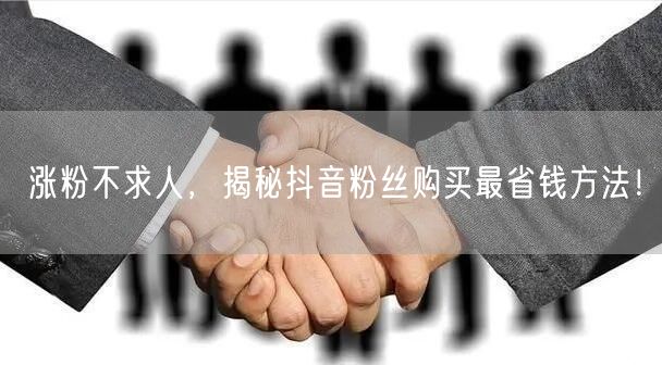 涨粉不求人，揭秘抖音粉丝购买最省钱方法！