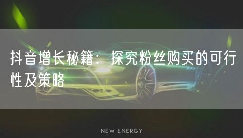 抖音增长秘籍：探究粉丝购买的可行性及策略