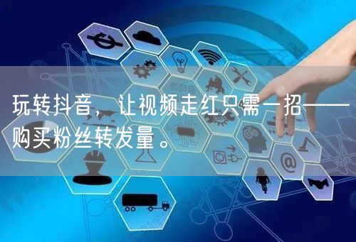玩转抖音,让视频走红只需一招——购买粉丝转发量。