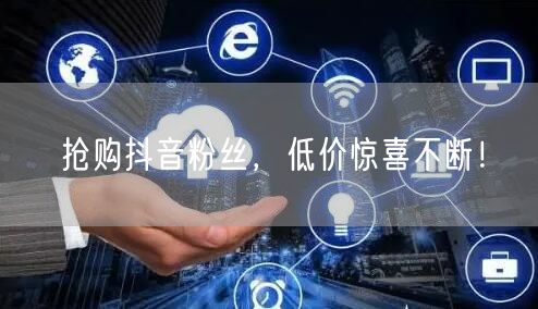 抢购抖音粉丝，低价惊喜不断！