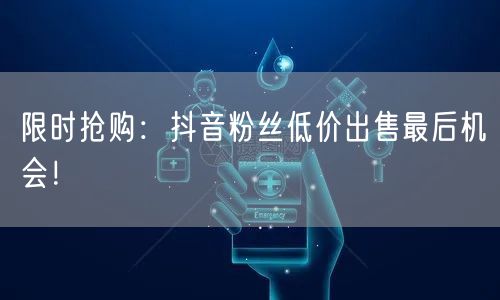 限时抢购：抖音粉丝低价出售最后机会！