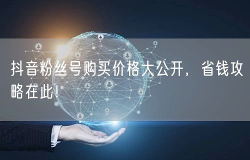 抖音粉丝号购买价格大公开，省钱攻略在此！