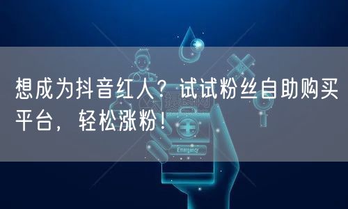 想成为抖音红人?试试粉丝自助购买平台,轻松涨粉!