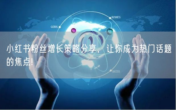 小红书粉丝增长策略分享，让你成为热门话题的焦点!