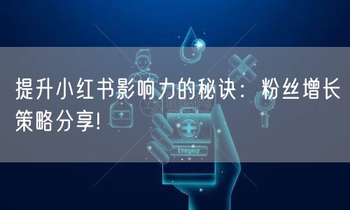 提升小红书影响力的秘诀：粉丝增长策略分享!