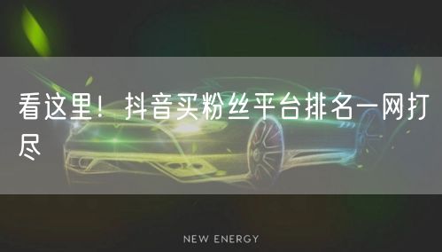 看这里！抖音买粉丝平台排名一网打尽